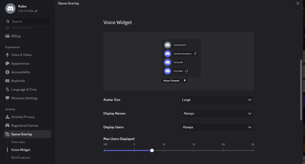 How to Customize the Voice Widget